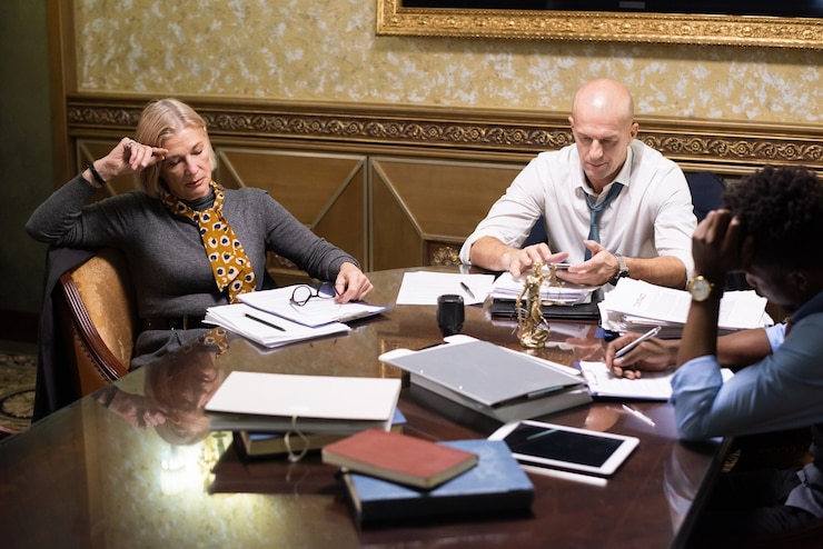 Profesyonel hukuk hizmetleri